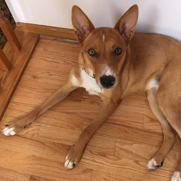 Meet your Posher, Kim - Picture 1 of 1